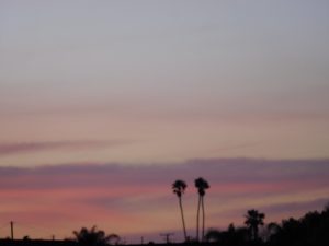 Blythe Sunset Palms